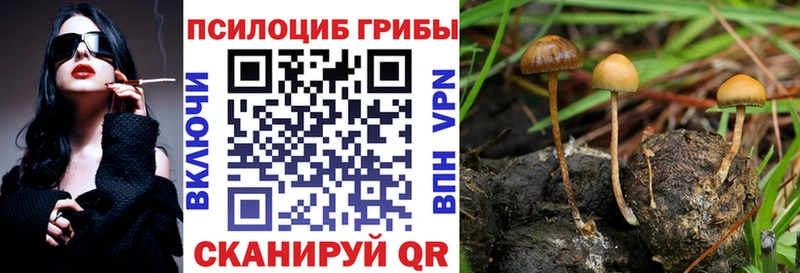 где купить наркоту  KRAKEN ТОР  Галлюциногенные грибы мицелий  Покачи 